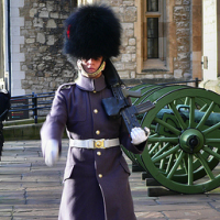 Guard Traces